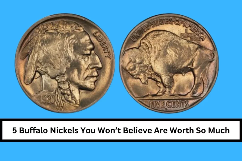 5 Buffalo Nickels You Won’t Believe Are Worth So Much