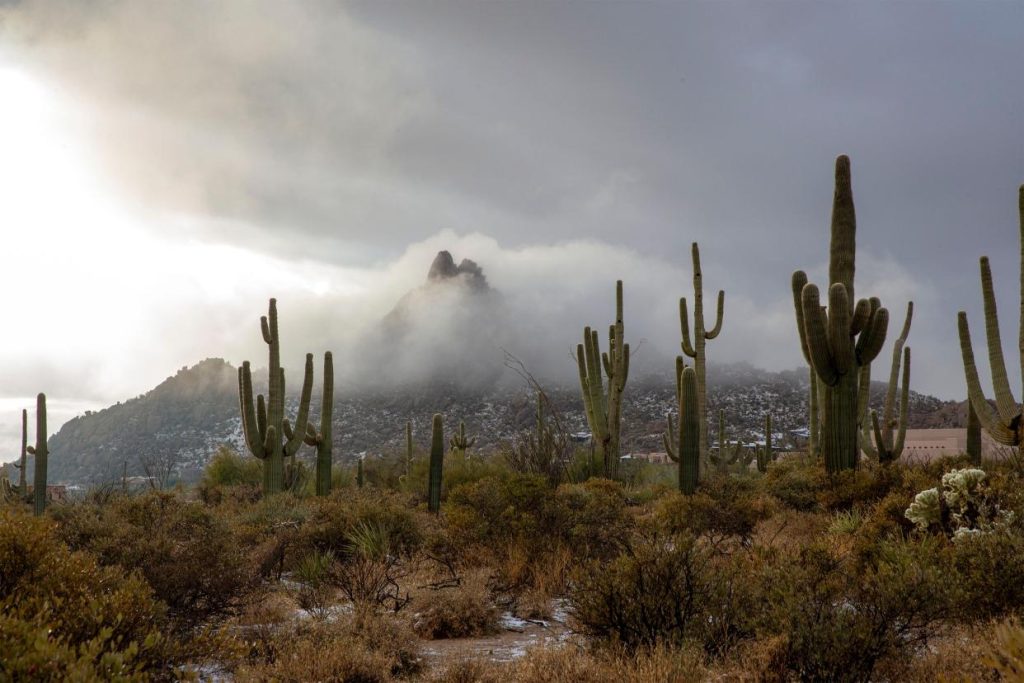 Phoenix Weather Alert: From Record Dry Spell to Anticipated Showers, Everything You Need to Know