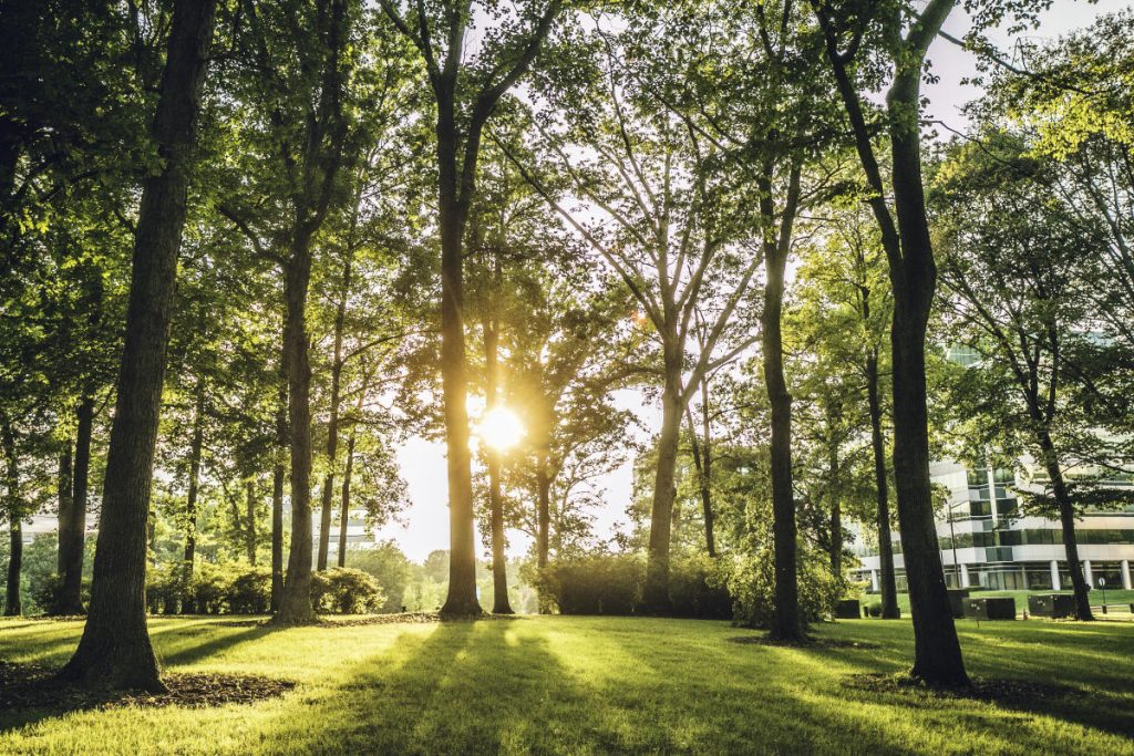 Maryland Residents, Rejoice! Weekend Temperatures Climb to the 40s with Sunshine