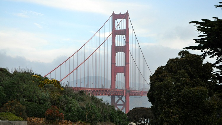 Frosty Nights and Weekend Showers: What’s in Store for San Francisco!