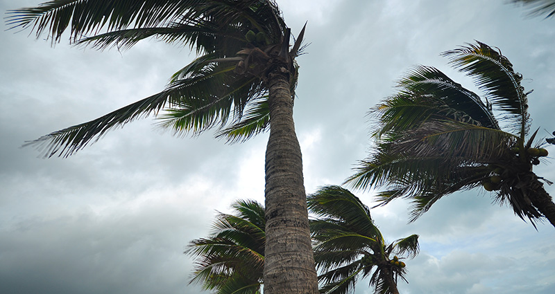 Brace Yourself: Bitter Cold and Dangerous Winds Are Coming