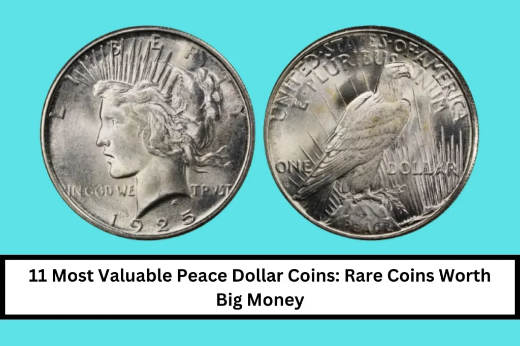 11 Most Valuable Peace Dollar Coins: Rare Coins Worth Big Money