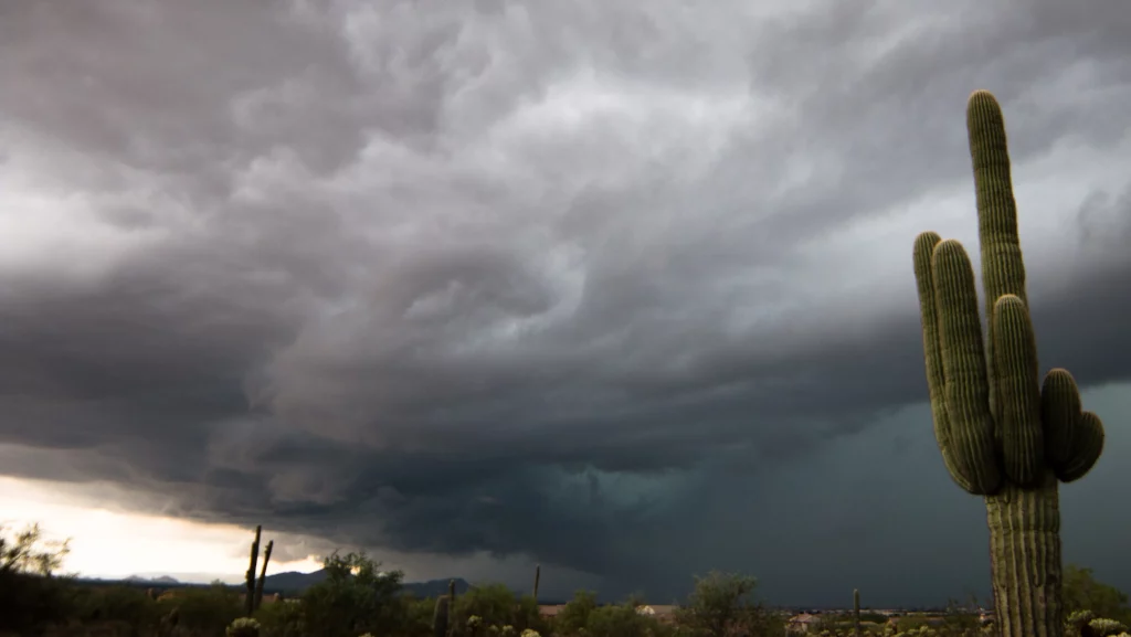 Rain in the Desert? Phoenix Set for a Rare Wet Week: Here’s What You Need to Know