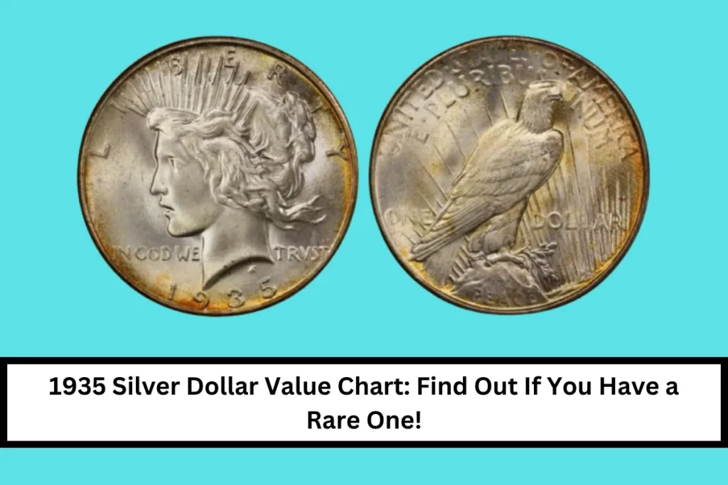 1935 Silver Dollar Value Chart: Find Out If You Have a Rare One!