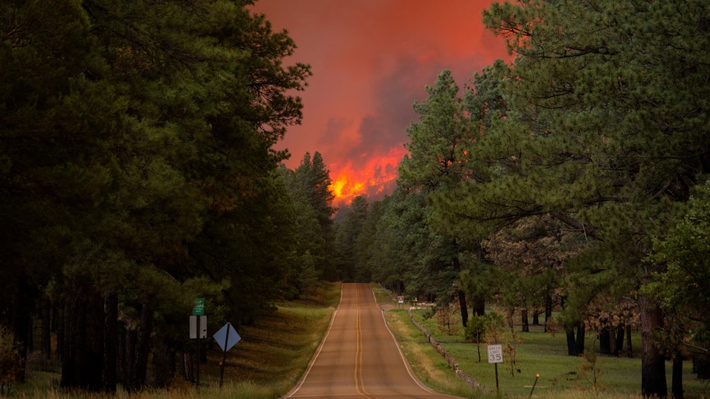 Red Alert for New Mexico! Fire Weather Conditions Could Turn Dangerous Fast