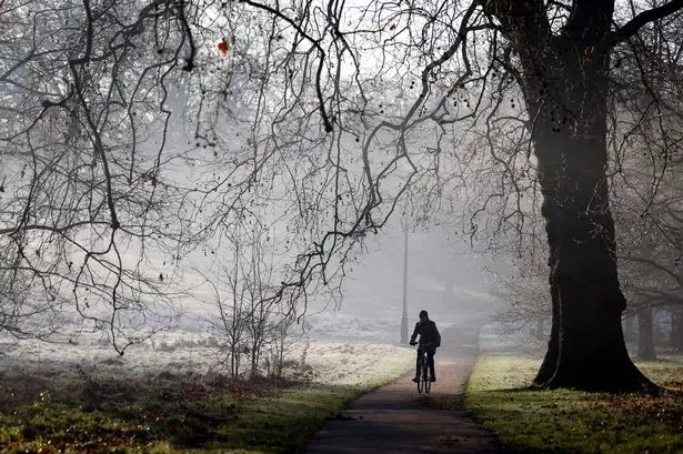 Texas Weather Forecast: Massive Cold Front Set to Drop Temperatures Drastically!