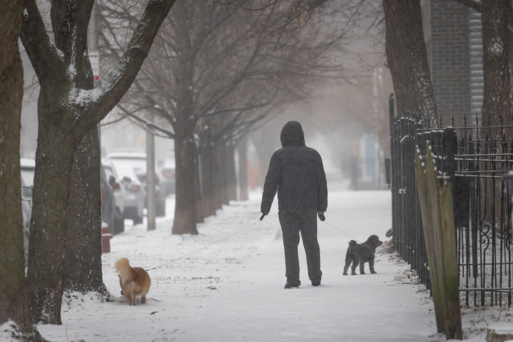 Don’t Be Fooled by the Calm: A Powerful Winter Storm Will Slam the Bronx This Weekend!