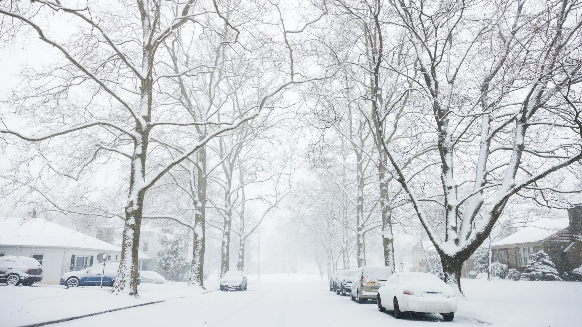 Brace Yourself: Three Brutal Snowstorms to Slam Baltimore & New England – Here’s What to Expect!