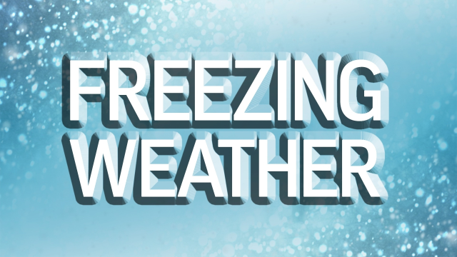 Freeze Warning Alert: Wiregrass Faces Dangerous Cold Tonight—Are You Ready?