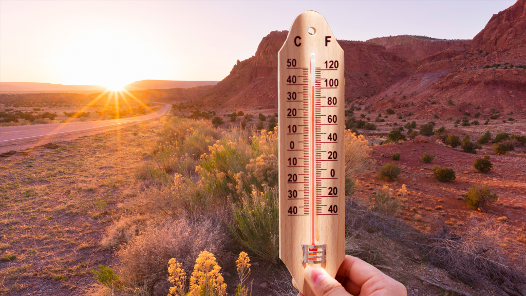 New Mexico Weather Update: Sunshine, Warmth, and Perfect Outdoor Weather!