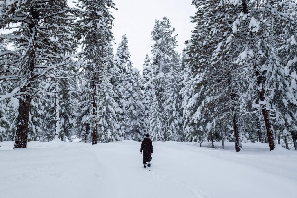 Idaho Weather Forecast: Spring-like Warmth Now, Cold Front Next Week!