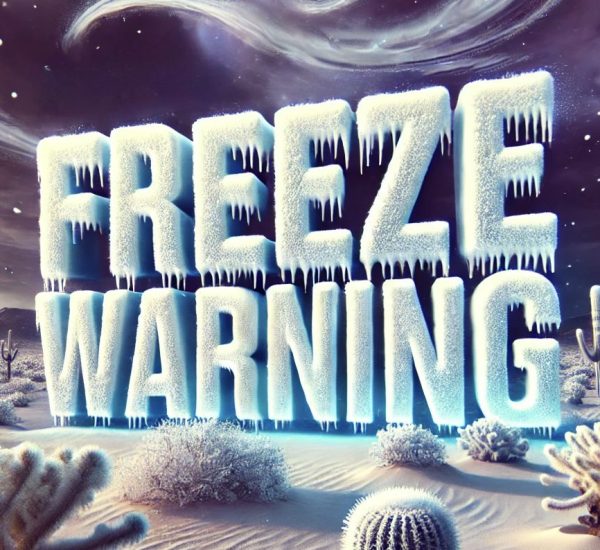 South Texas Freeze Shock: You Won’t Believe This Unexpected Winter Surprise!