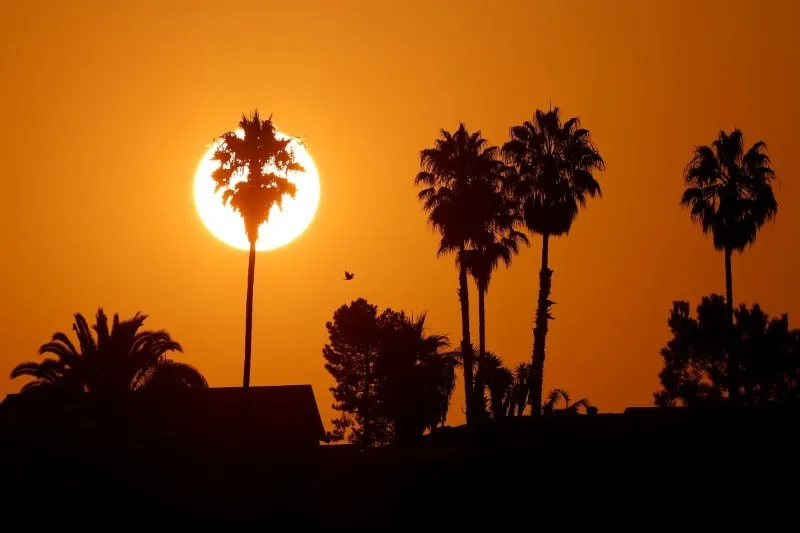 San Diego’s Weather is Heating Up: Find Out How Warm It’ll Get This Week!