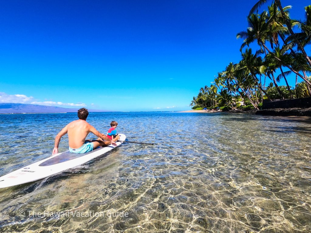 Pack Your Sunglasses! Hawaii Set for a Picture-Perfect Week of Warmth and Blue Skies!