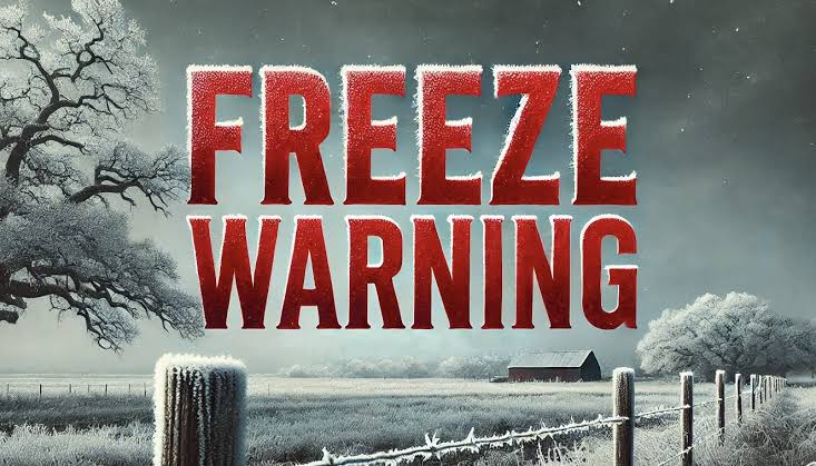 Sacramento’s First Big Chill of the Year: Freeze Warning in Effect!