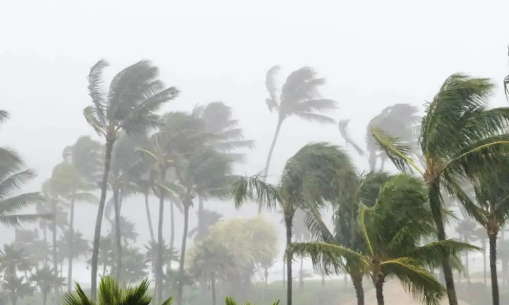 Shocking Weather Alert: Extreme Rains and Dangerous Storms to Slam American Samoa!