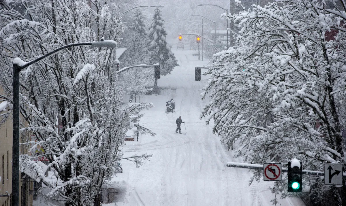 Ice Storm Chaos: Travel Disruptions and Falling Trees Expected Across Oregon