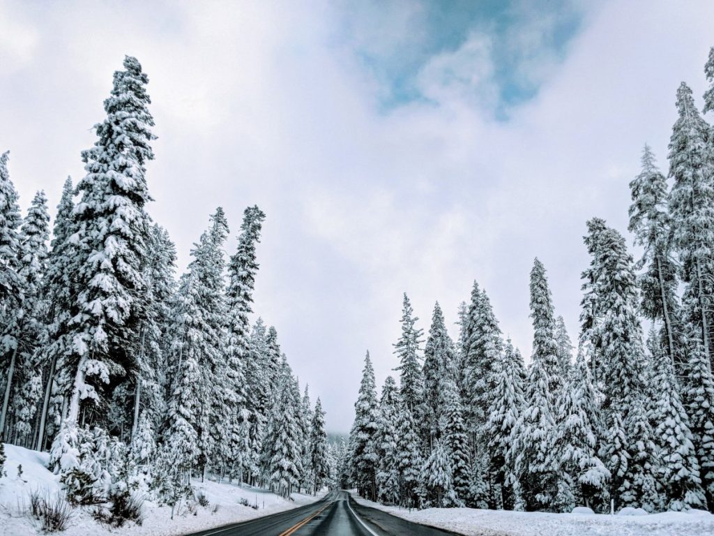 Unbelievable Snowfall! California’s Snowpack Could Solve the State’s Drought Problem for Years