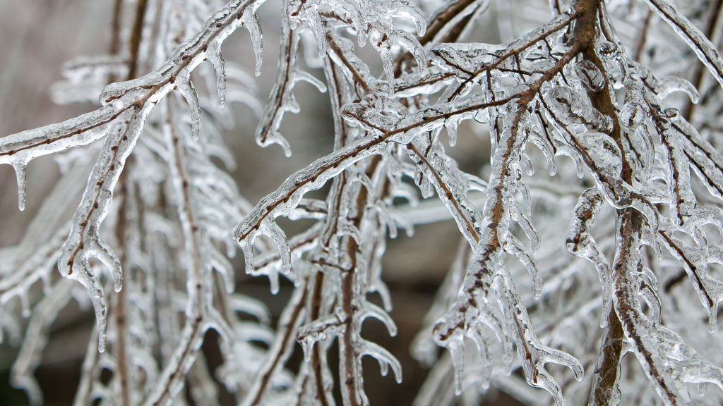 Maine Weather Forecast: Snow, Rain, and Freezing Temps in One Chaotic Week!