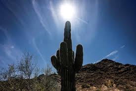 Phoenix Heats Up! Temperatures Near 87°F to Start the Week