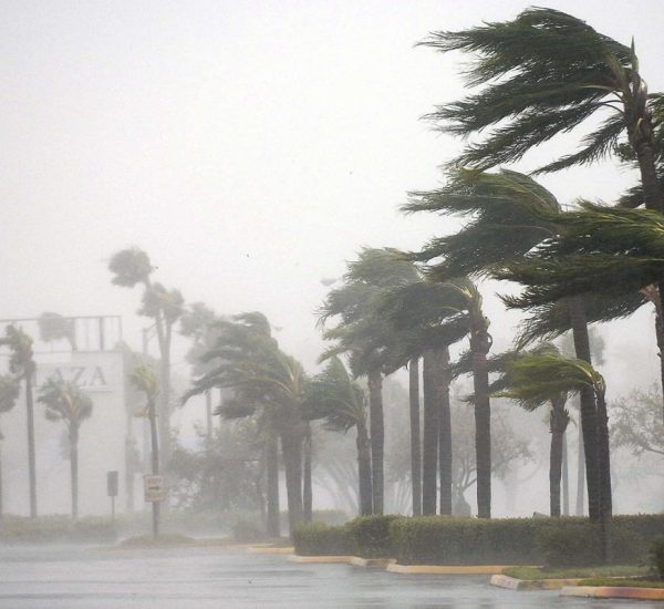 Stay Alert, Palm Beach! Strong Winds, Rain, and Rapid Weather Changes Expected