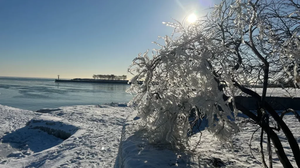 From 50°F to Snow: Chicago’s Wild Week of Weather Will Keep You on Your Toes