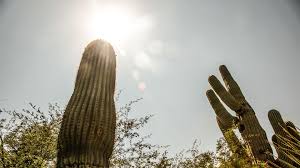 Near-Record Highs Expected in Pima County: Will This Be the Hottest February Yet?