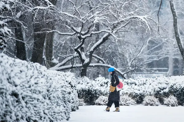 Massive Snowstorm to Slam New York: Up to 10 Inches Expected by Sunday Noon!