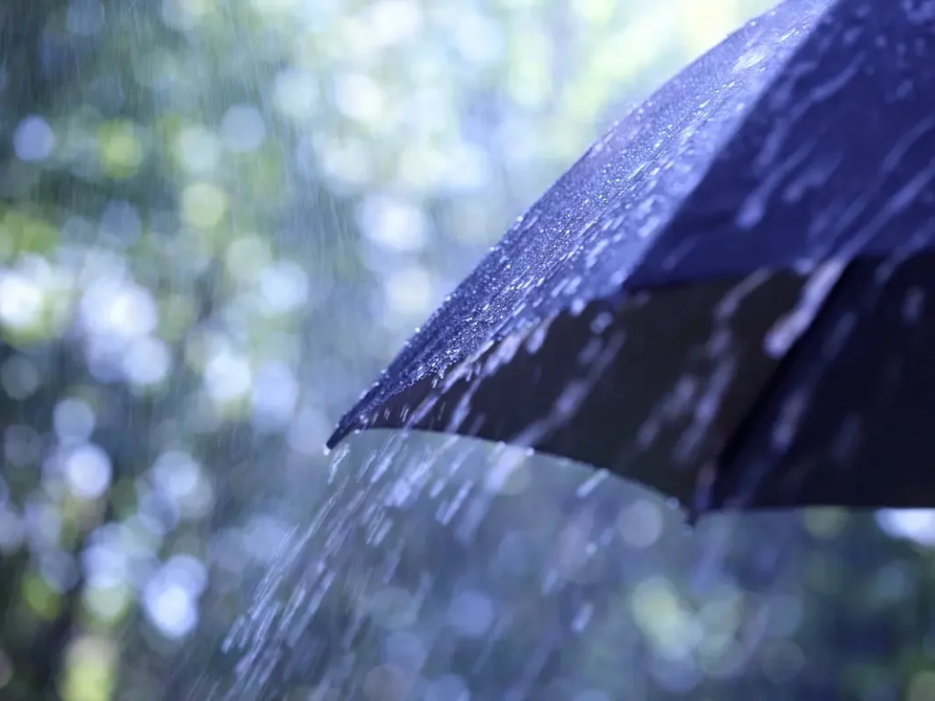 Don’t Leave Home Without an Umbrella: Beverly Hills Set for a Week of Rain