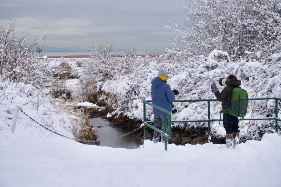 Stay Safe Richmond: Upcoming Weather Could Impact Travel Plans