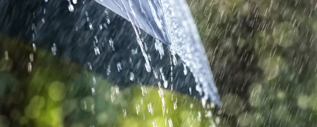 Don’t Forget Your Umbrella: New Jersey Braces for Heavy Rain and Thunderstorms!