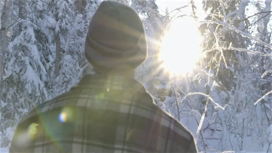 Chicago’s Weather Rollercoaster: From Mild Sunshine to Chilly Winds, Are You Prepared?”