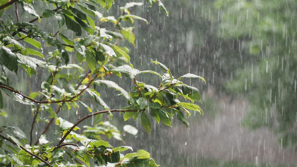 Rain, Wind, and a Big Cooldown: Kentucky’s Wild Weather Ahead, Stay Prepared!