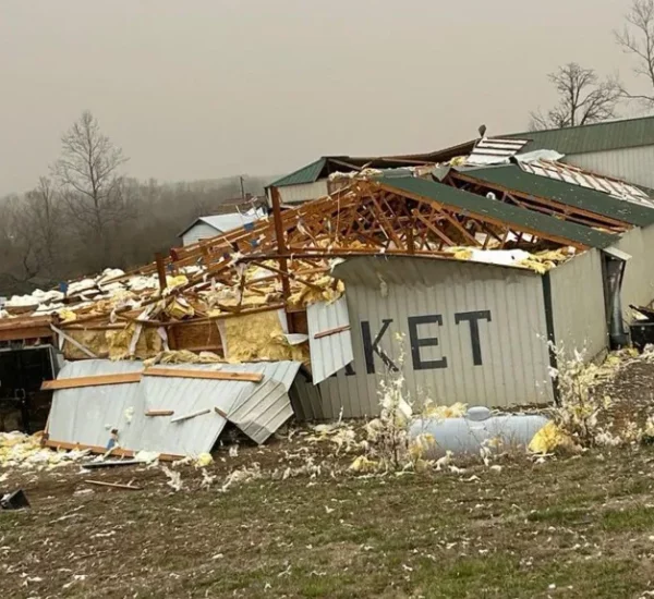 Nature Unleashed: The Heartbreaking Story Behind the 42 Deaths in America’s Storm Crisis!