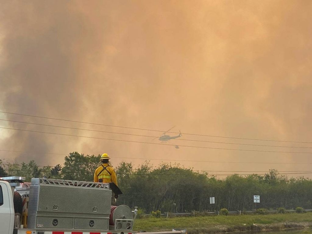 Is Your Neighborhood at Risk? Miami-Dade’s Wildfire Crisis Revealed in Startling New Report!