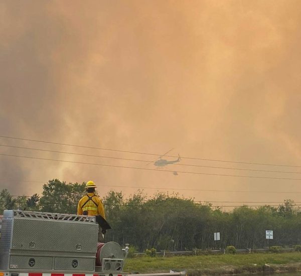 Is Your Neighborhood at Risk? Miami-Dade’s Wildfire Crisis Revealed in Startling New Report!