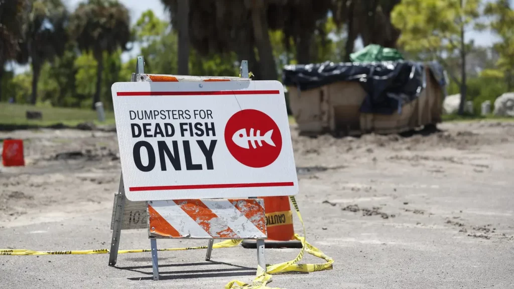 Unbelievable! Florida’s Red Tide Crisis Explained—Find Out What You Need to Do Now!