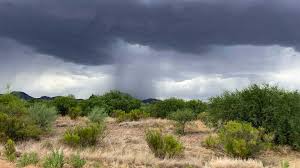 Warm, Cool, and a Little Rain—Tucson’s Forecast Has It All!