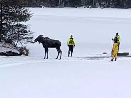 From Spring to Deep Freeze: New York’s Wild Weather Shift