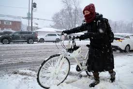 Chicago Weather Whiplash: From Chilly Breezes to Stormy Chaos!