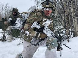 Survival in the Deep Freeze: U.S. Soldiers Train for Arctic Combat