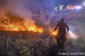 Summer in March? Dallas Heats Up with Wildfire Risks Looming!