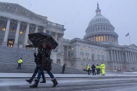 Middle Tennessee in Turmoil: 50 MPH Winds and Heavy Rain Set to Rock Your Tuesday!