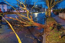 Power Outages, Flooded Streets, and Strong Winds: Brooklyn’s Weather Takes a Dangerous Turn!