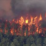 Firestorm in the Forest: Wildfire Scorches Hundreds of Acres in New Jersey’s Woodlands