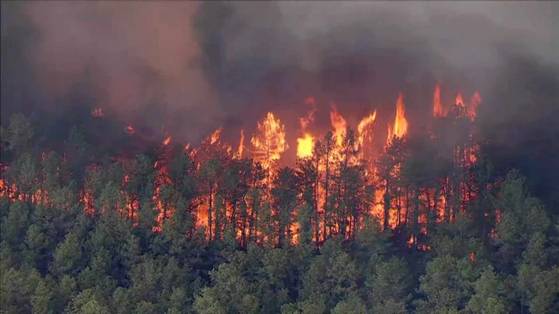 Firestorm in the Forest: Wildfire Scorches Hundreds of Acres in New Jersey’s Woodlands
