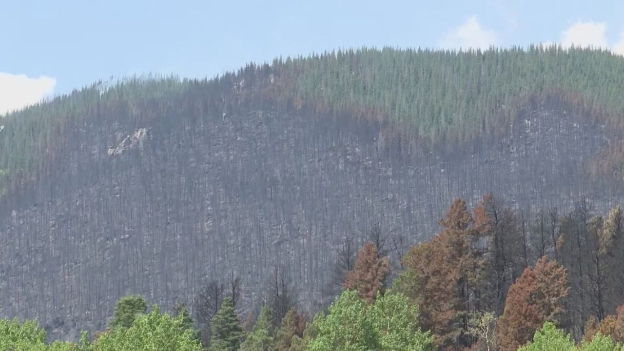Colorado Issues Life-Threatening Flash Flood Emergency as Burn Scar Unleashes Fast-Moving Debris Flows