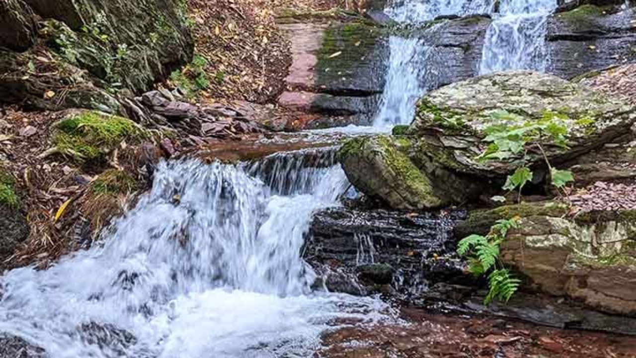 New Jersey is hiding a campground so stunning that people keep coming back every single year