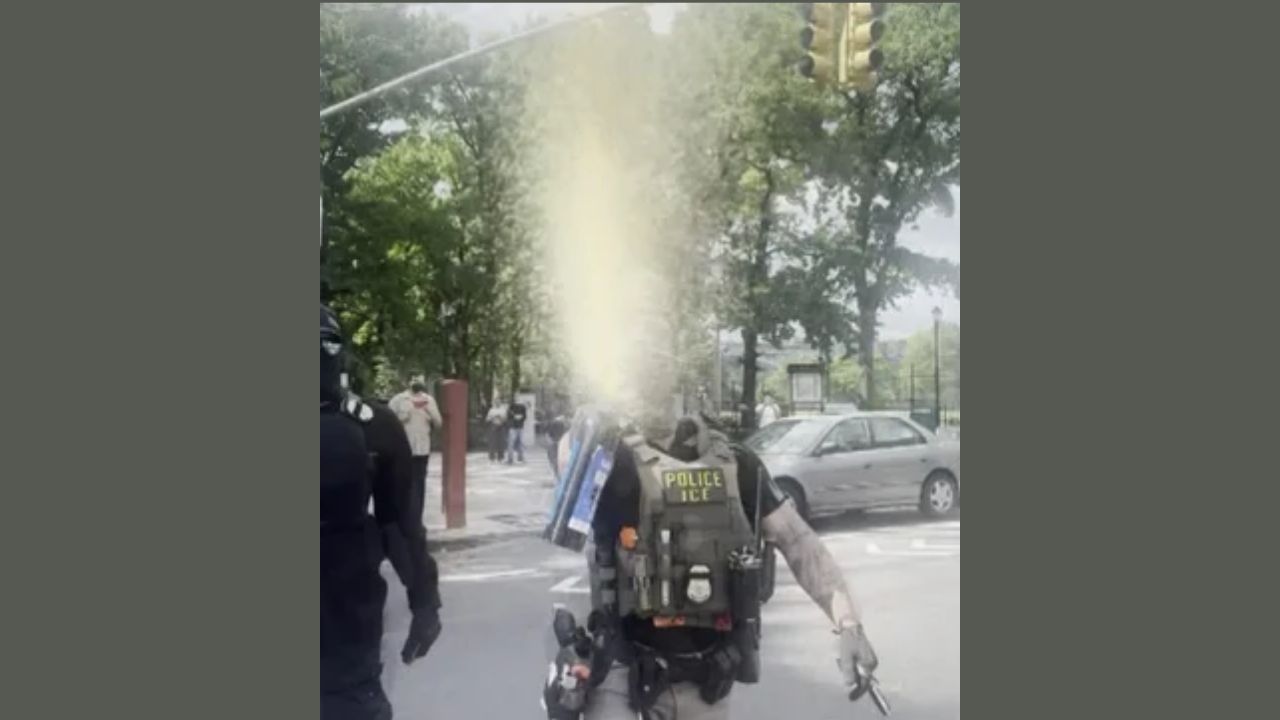 72-Year-Old NYC Woman Says ICE Agent Pepper-Sprayed Her While She Was Filming on Sidewalk